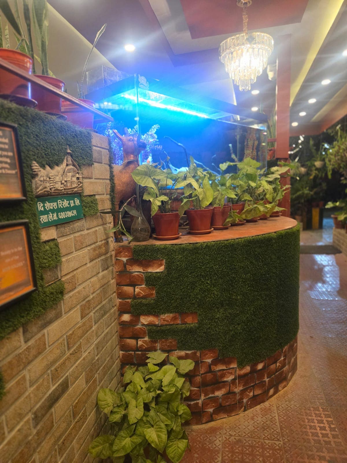 Resort gallery image 8